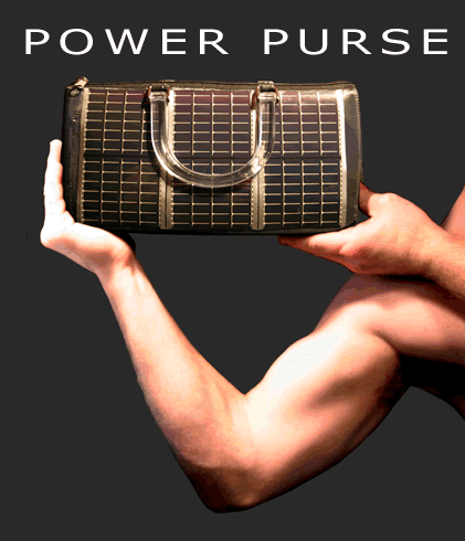 ִ̫Power Purse